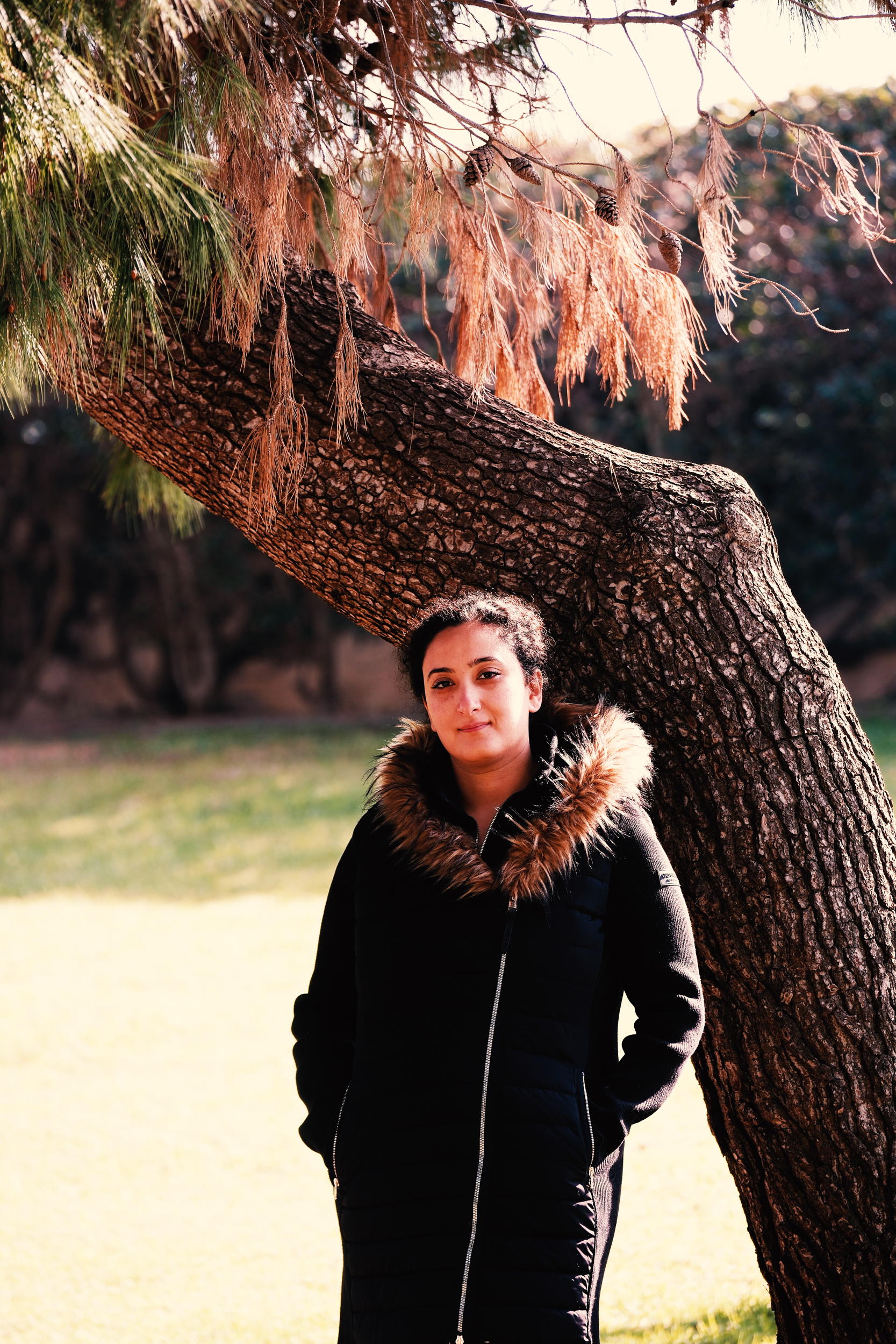 Bunkin' finding tranquility and ancient wisdom beneath a majestic, sunlit tree.
